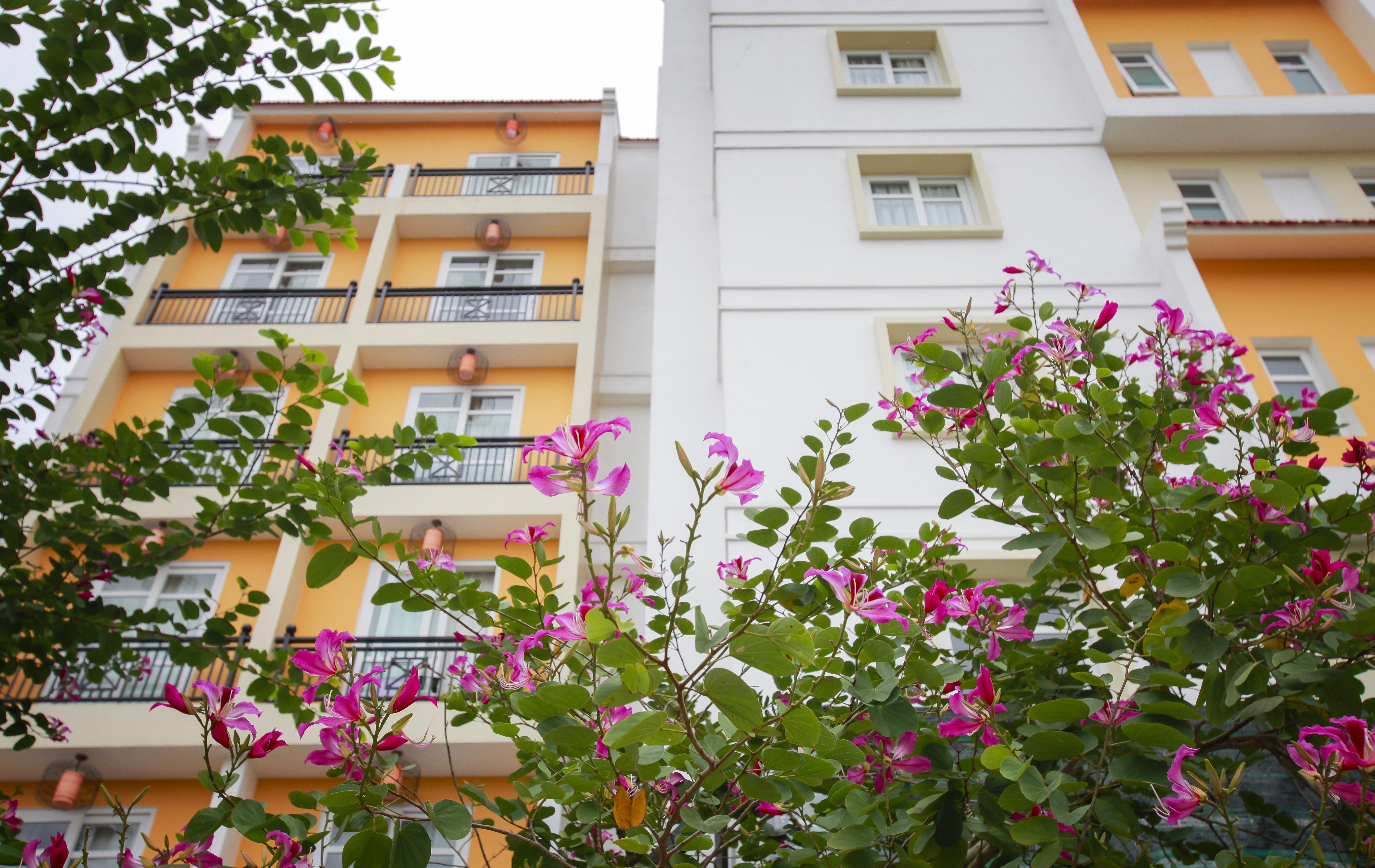 Royal Riverside Hoi An Hotel & Spa מראה חיצוני תמונה